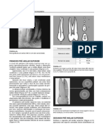 Endo - Aula6