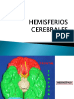 Hemisferios Cerebrales