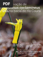 PPCB_manual_narcissus_v6.pdf