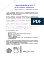 NIVELES DE ORGANIZACION.pdf