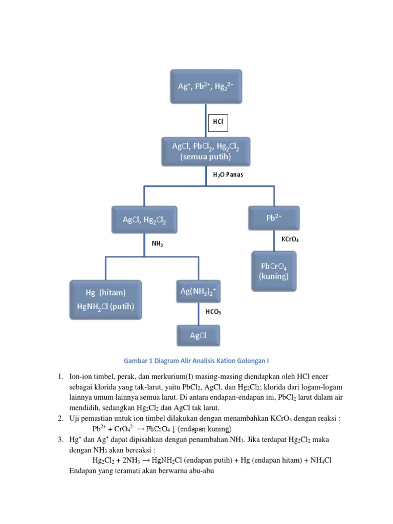 Analisis Kation Golongan I dan II | PDF