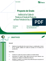 Presentacion 20proyecto 140318133431 Phpapp02 PDF