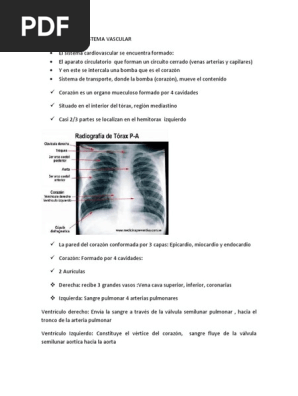 Generalidades Sistema Vascular Farmaco Ii Docx Corazon Estatinas