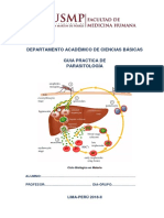 Ciclo vital malaria