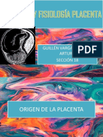 1anatomía y Fisiología Placenta