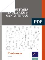 Parasitosis Tisulares y Sanguineas