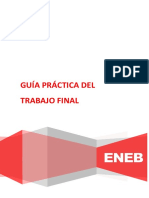 Guía Práctica del Trabajo Final - MARKETING.docx