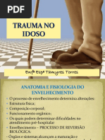 Trauma No Idoso