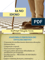 Trauma No Idoso