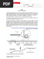 BIO12 Ficha_FINAL.docx