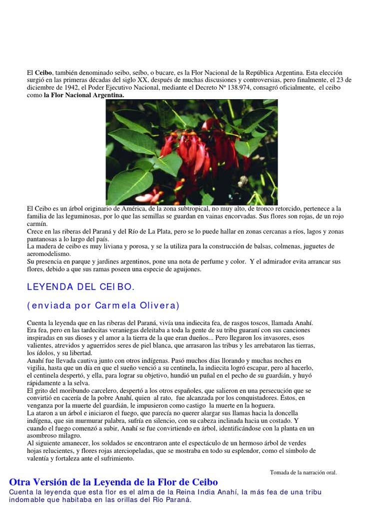 Leyenda Del Ceibo | PDF | Naturaleza