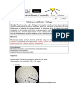 Relatório de Aula Prática Citologia