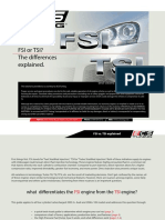FSIvTSI.pdf
