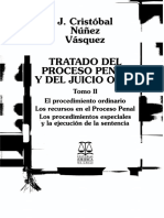 Nuñez. DPP, Tomo II PDF