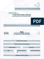 Paes PDF