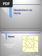 Metabolismo Heme