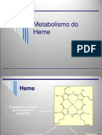 Metabolismo Heme