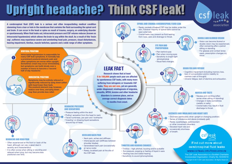 CSF Leak Association Infographic PDF Cerebrospinal Fluid Headache