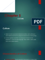 Chapter 5: Understanding Culture