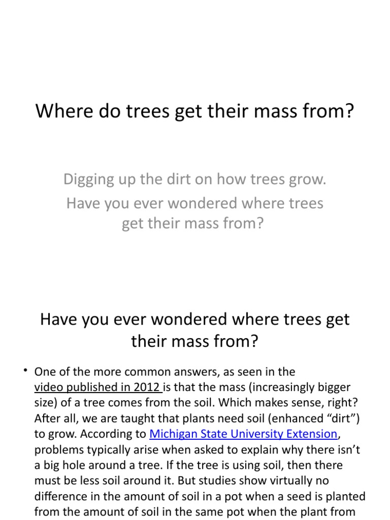 Where Do Trees Get Their Mass From PDF Biomass Biofuel