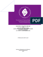 Li Report (Nurdaliana) PDF