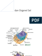 Molekul Penyusun Sel