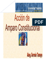 Accion_de_Amparo_Constitucional (1).pdf