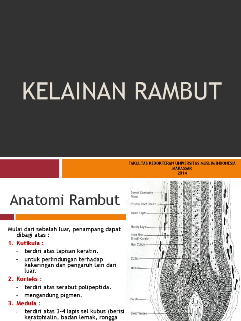 Kelainan Rambut | PDF