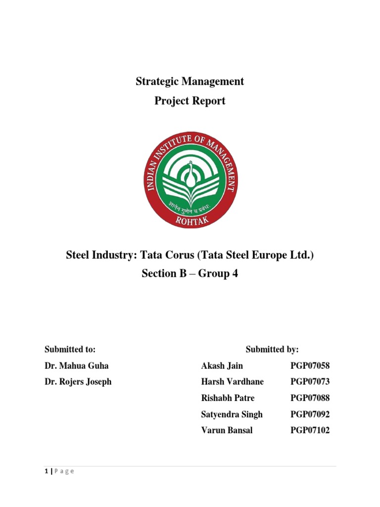 Tata Steel's Strategic Management Report | PDF | Business | Economies
