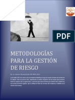 Metodología Gestión Del Riesgo