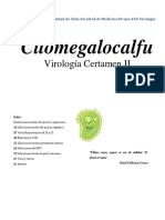 Citomegalocalfu Parte II.pdf