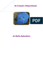 Manual de Bettas.pdf