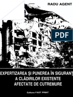 Expertiza seismica - R.Agent.pdf