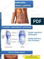 Sesion 2. Anatomia Radiologica Abdomen y Pelvis PDF