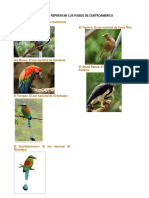 Aves Que Reprentan Los Paises de Centroamerica