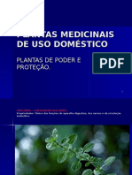 Plantas Medicinais de Uso Doméstico - 47