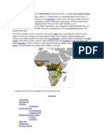 Aesdsdquindsdsdsddsdsdoctialis Is in The: Sub-Saharan African Bovine Savannas