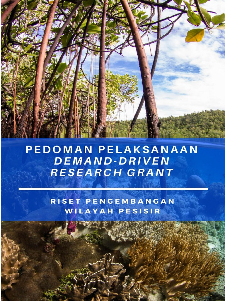 Pedoman Pelaksanaan DDRG - Updated 5 PDF | PDF