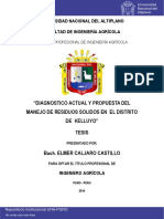 Caljaro_Castillo_Elmer.pdf