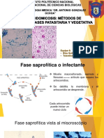 COCCIDIOIDOMICOSIS