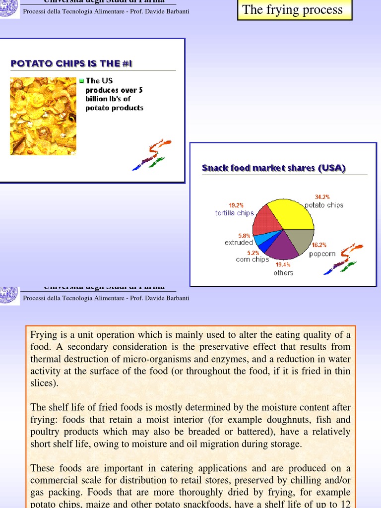 Frying Process Heat Transfer Frying