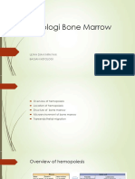 Histologi Bone Marrow Feb 2019