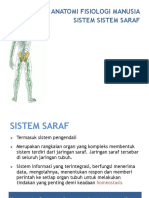 260466812 Anatomi Sistem Saraf Pusat Dan Sistem Saraf Tepi