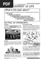 Download Bio6Blueprint of Life by benjamin_wang_4 SN40137671 doc pdf