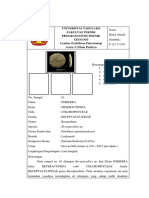 Porifera fosil