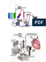 Imagens Circulacao extracorporea