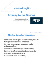 Apresentação Comunicação e Animação de Grupos