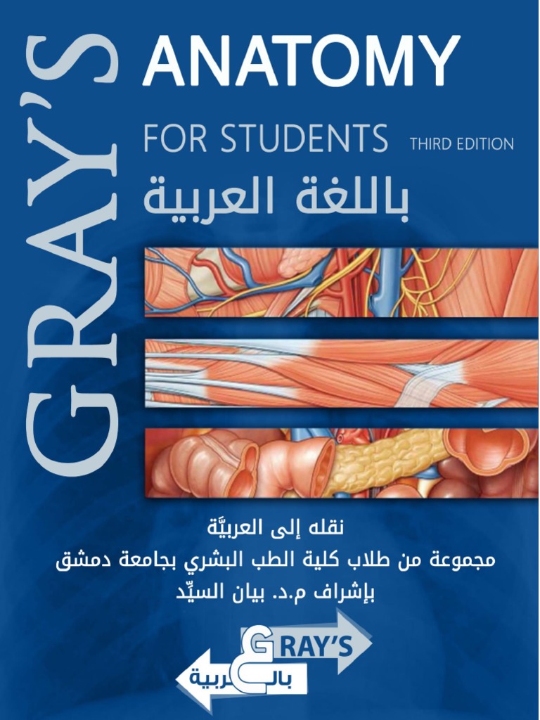 Gray S Anatomy En Aran بالعربية Pdf