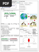 Ecologia 3 Ano