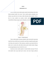 Referat Tumor Medeulla Spinalis